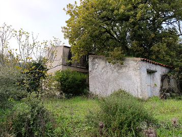 A 2km da Tempio: Rustico con 6000mq di terreno