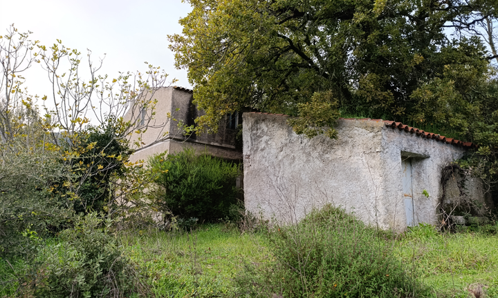 A 2km da Tempio: Rustico con 6000mq di terreno