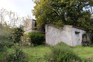 A 2km da Tempio: Rustico con 6000mq di terreno