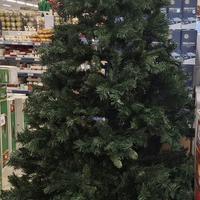 Albero di natale