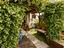 Immagine 7