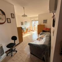 Ginosa marina quadrivani