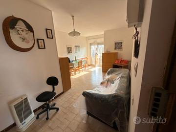 Ginosa marina quadrivani