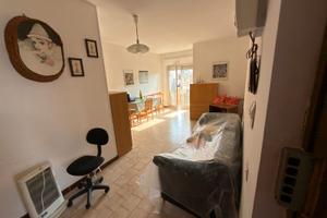 Ginosa marina quadrivani