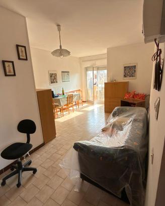 Ginosa marina quadrivani