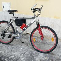 Mountain bike Pennarola P900 