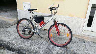 Mountain bike Pennarola P900 