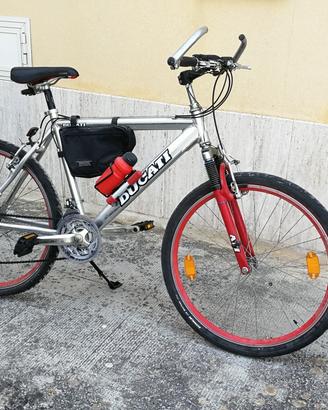 Mountain bike Pennarola P900