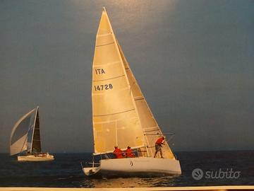 Portobello 28 Judel-Vrolijk