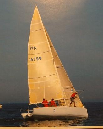 Portobello 28 Judel-Vrolijk