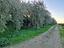 Immagine 12