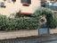 Immagine 2