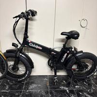 Bicicletta elettrica