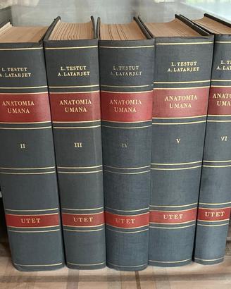 Trattato di Anatomia Umana - Testut e Latarjet