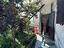 Immagine 23