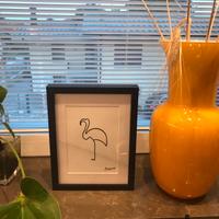 Cornice Illustrazioni Picasso