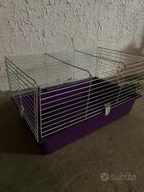 Gabbia conigli