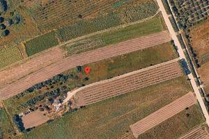 Terreno agricolo Località S. Sesulu