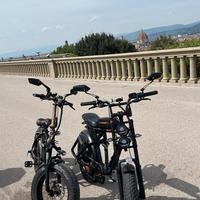 bicicletta fat bike