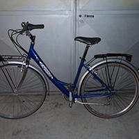 bicicletta donna raggio ruote 28