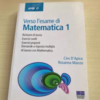 Libro matematica 1 di Ciro D’Apice e Rosanna Manzo