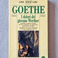 I dolori del giovane Werther - Goethe