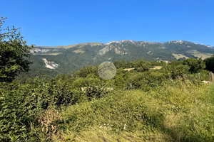 TER. RESIDENZIALE A FERRARA DI MONTE BALDO