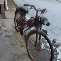 Bianchi aquilotto 
