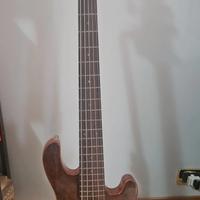 Basso Elettrico 5 Corde Cort Rhitimic V Jeff Berli