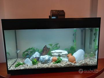 Acquario Askoll Pure XL LED