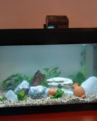 Acquario Askoll Pure XL LED