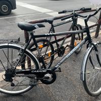 Bici Casadei 28 moving city bike 6 vel.