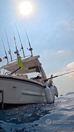 Barca Calafuria 6