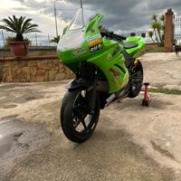 Kawasaki ninja 250r