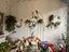 Immagine 17