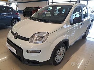 FIAT Panda III 2021 - Panda 1.0 firefly h U1054986