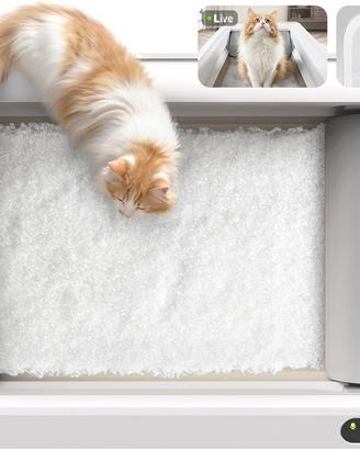 Petkit lettiera gatto autopulente e telecamera AI