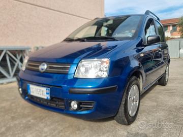 panda 1200 immacolata