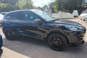 FORD Kuga 3ª serie - 2024