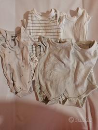 Set 5 body