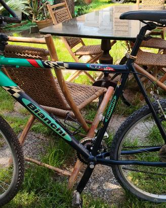 montain bike bianchi anni 2000