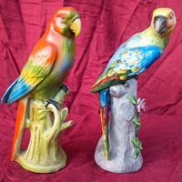 vintage porcellana coppia pappagalli no Capodimont