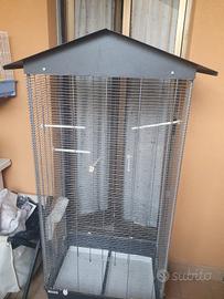 voliera pappagalli 