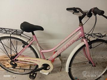 Bicicletta da città Frejus – ruote da controllare