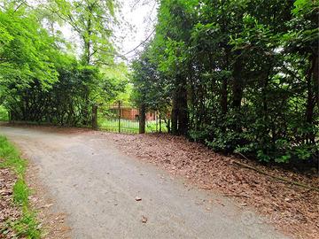 Sulle sponde del lago ampio parco con due case