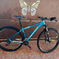 MTB Torpado Ribot