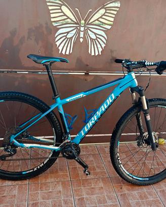 MTB Torpado Ribot