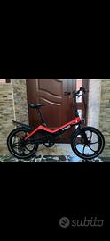 bici elettrica  