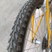 Bici da donna