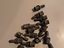 Immagine 2
